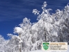 panorama-neve-camping-tiber-fumaiolo-balze